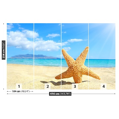 Wallpaper Starfish. Beach