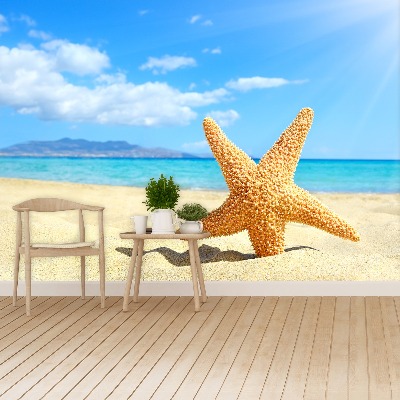 Wallpaper Starfish. Beach