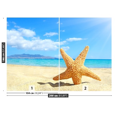 Wallpaper Starfish. Beach