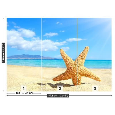 Wallpaper Starfish. Beach