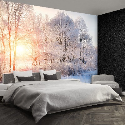 Wallpaper Winter trees