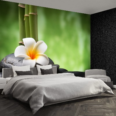 Wallpaper Spa flower