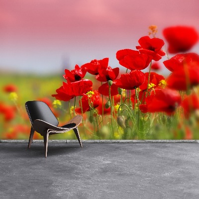 Wallpaper Poppies field