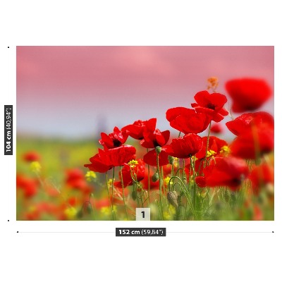 Wallpaper Poppies field