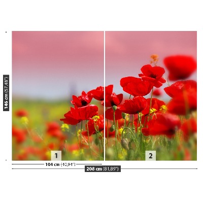 Wallpaper Poppies field