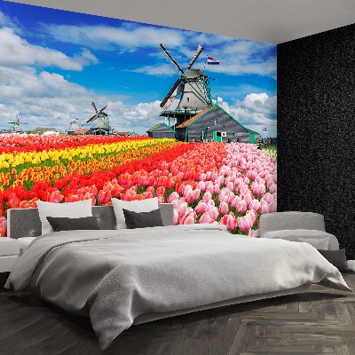 Wallpaper Netherlands windmills