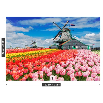 Wallpaper Netherlands windmills