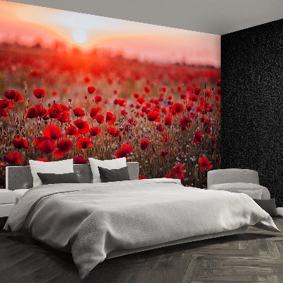 Wallpaper Field of poppies