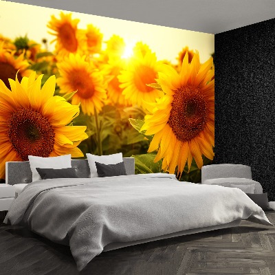 Wallpaper Sunflowers