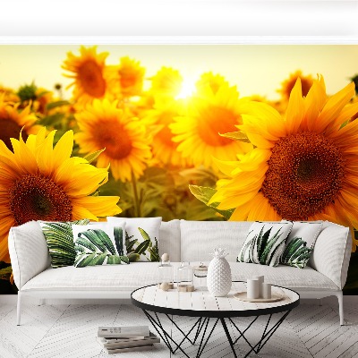 Wallpaper Sunflowers