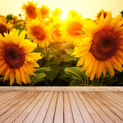 Wallpaper Sunflowers