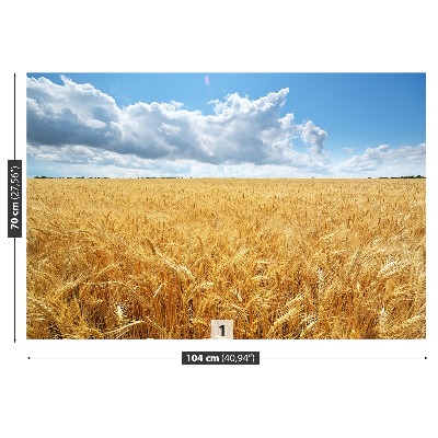 Wallpaper Wheat field