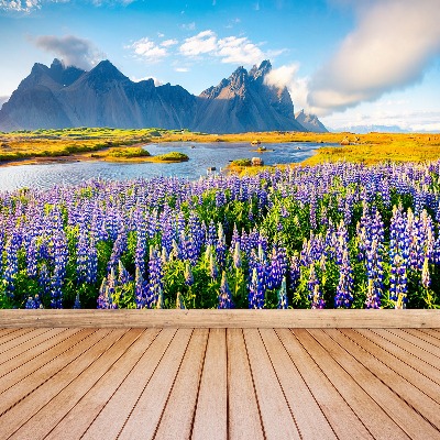 Wallpaper Lupine flowers