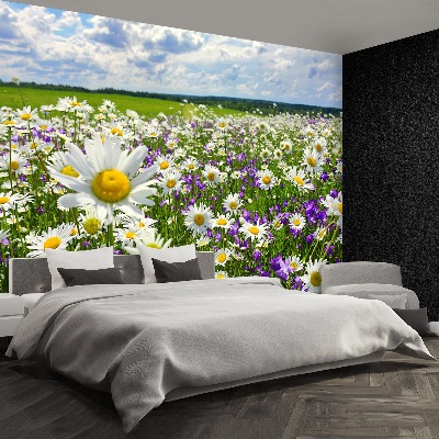 Wallpaper Meadows and flowers