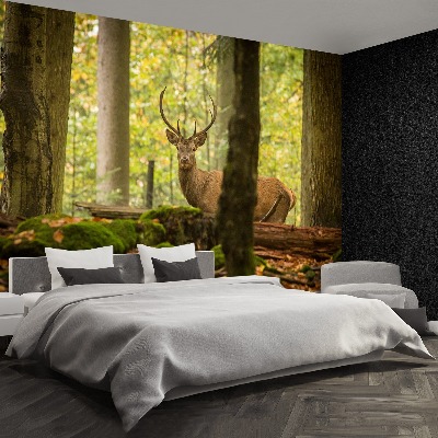 Wallpaper Deer forest
