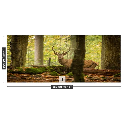 Wallpaper Deer forest