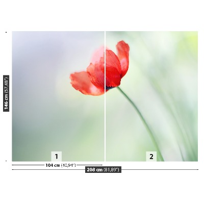 Wallpaper Red poppy