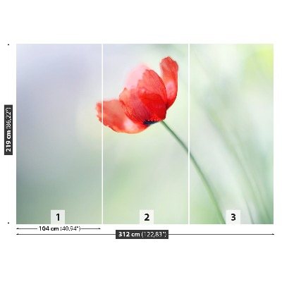 Wallpaper Red poppy