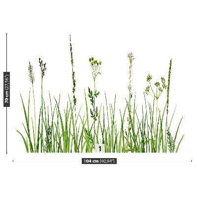 Wallpaper Herbs. Grass
