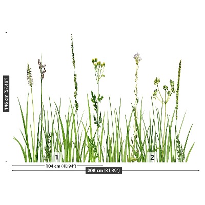 Wallpaper Herbs. Grass