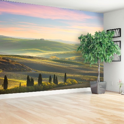 Wallpaper Tuscany cypresses