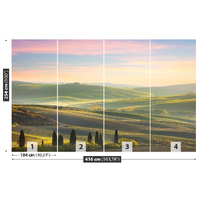 Wallpaper Tuscany cypresses