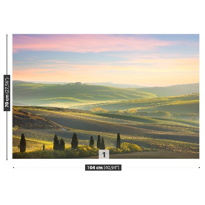 Wallpaper Tuscany cypresses