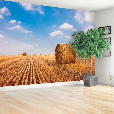 Wallpaper Straw bales