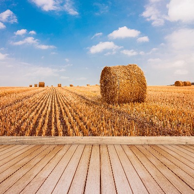 Wallpaper Straw bales