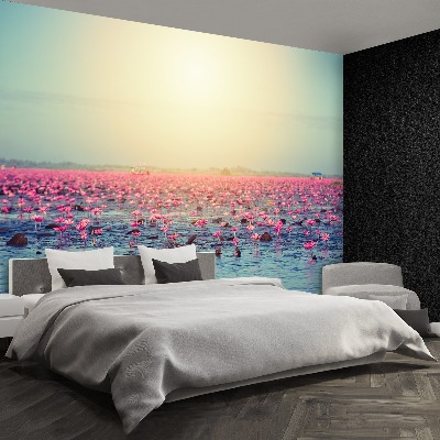 Wallpaper Water lilies pond