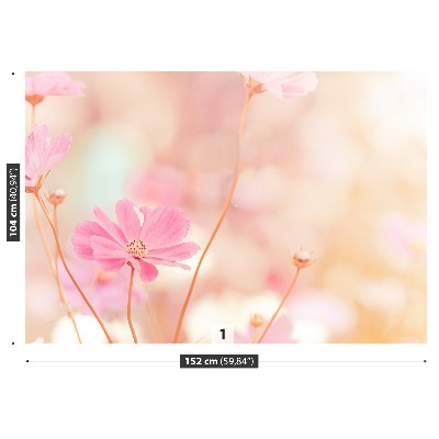 Wallpaper Pink cosmos flowers