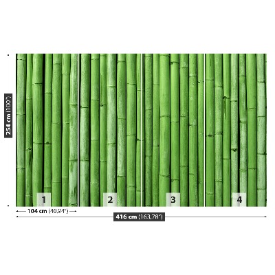 Wallpaper Bamboo green