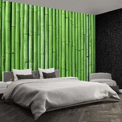 Wallpaper Bamboo green