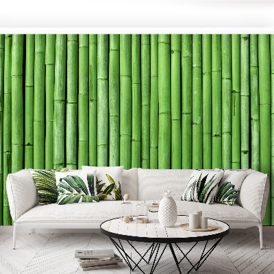 Wallpaper Bamboo green