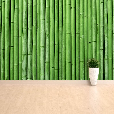 Wallpaper Bamboo green