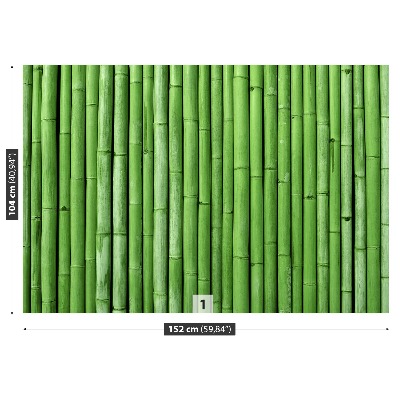 Wallpaper Bamboo green