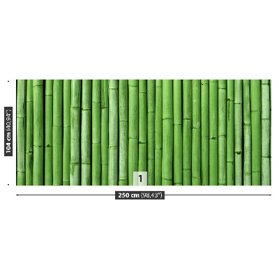 Wallpaper Bamboo green