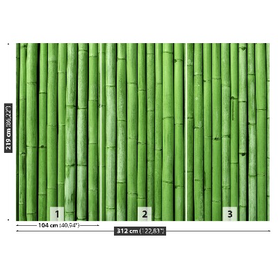 Wallpaper Bamboo green