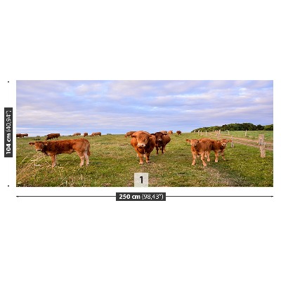 Wallpaper Cows