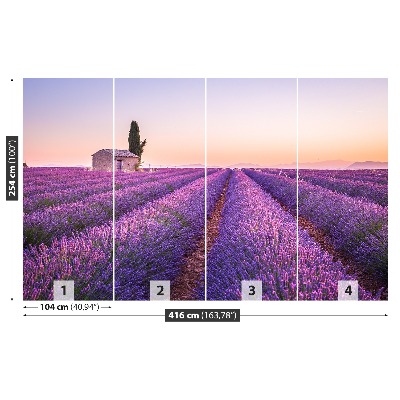 Wallpaper Provence lavender