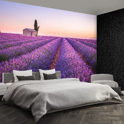 Wallpaper Provence lavender