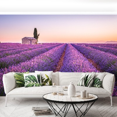 Wallpaper Provence lavender