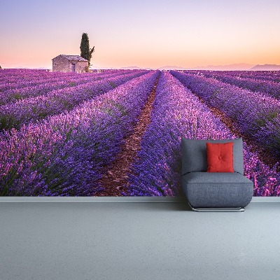 Wallpaper Provence lavender