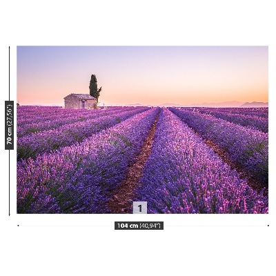 Wallpaper Provence lavender