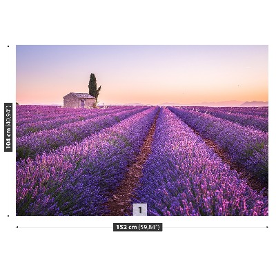 Wallpaper Provence lavender