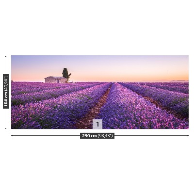 Wallpaper Provence lavender