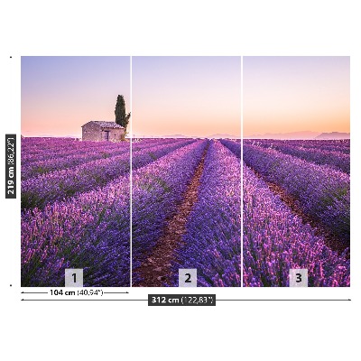 Wallpaper Provence lavender