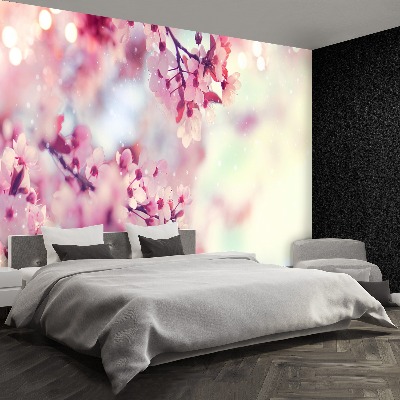 Wallpaper Cherry blossoms