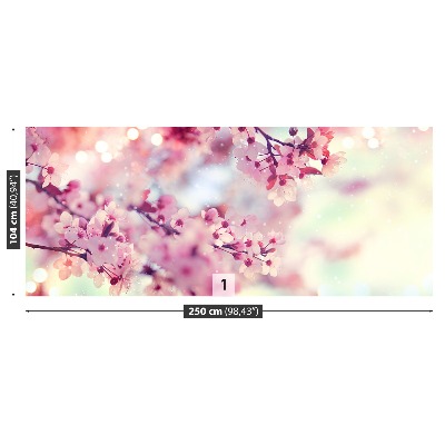 Wallpaper Cherry blossoms