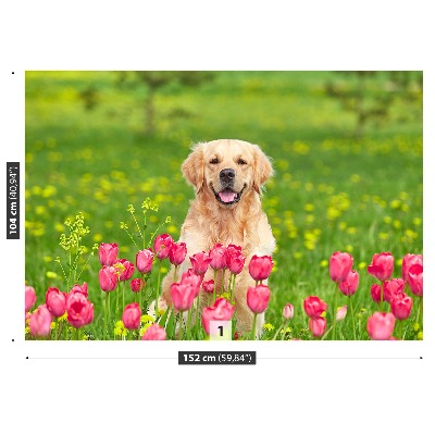 Wallpaper Dog tulips